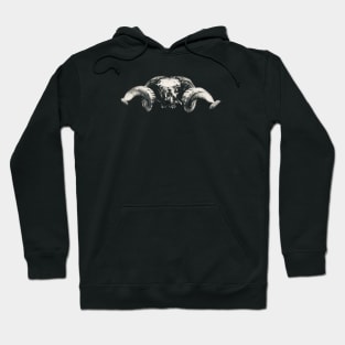 Ram Skull II / Swiss Artwork Photography Hoodie